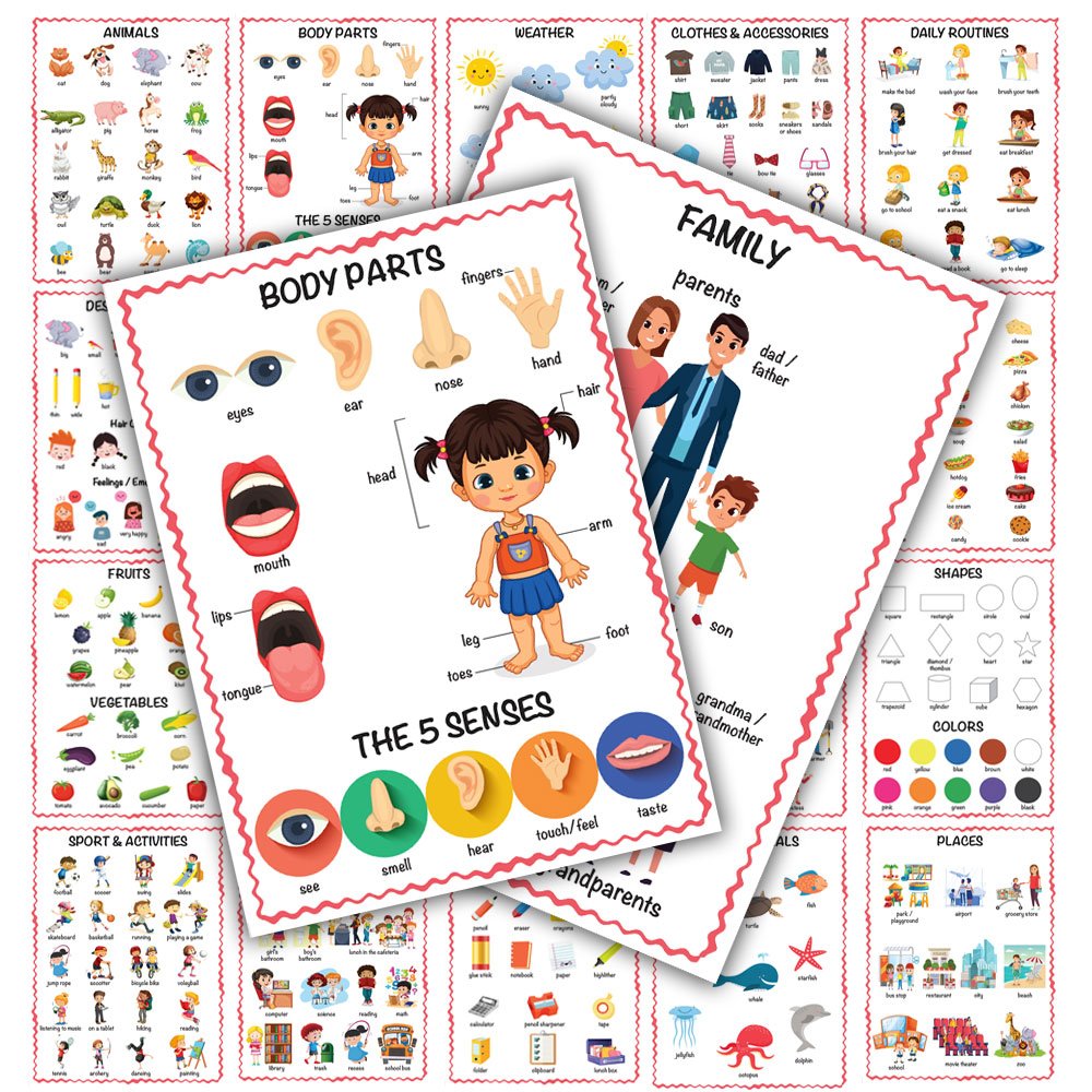 İlk Kelimelerim 350+ Kelime İngilizce Türkçe Çift Taraflı 20 Konu Öğretici Eğitici Poster Seti 33x24cm