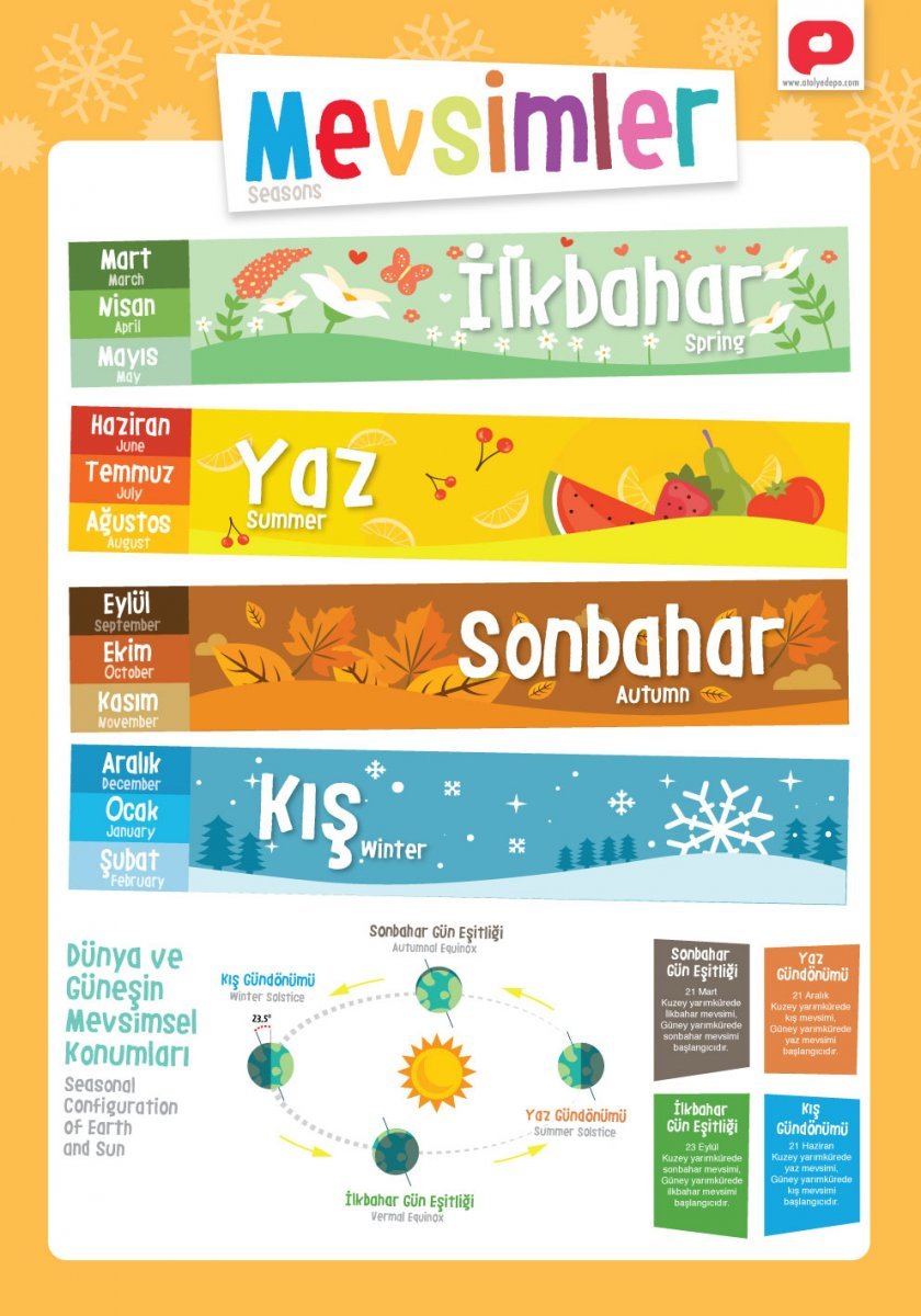 Eğitici Öğretici Türkçe İngilizce Poster Seti Öğretmenler Tasarladı 12 Poster 30x42cm