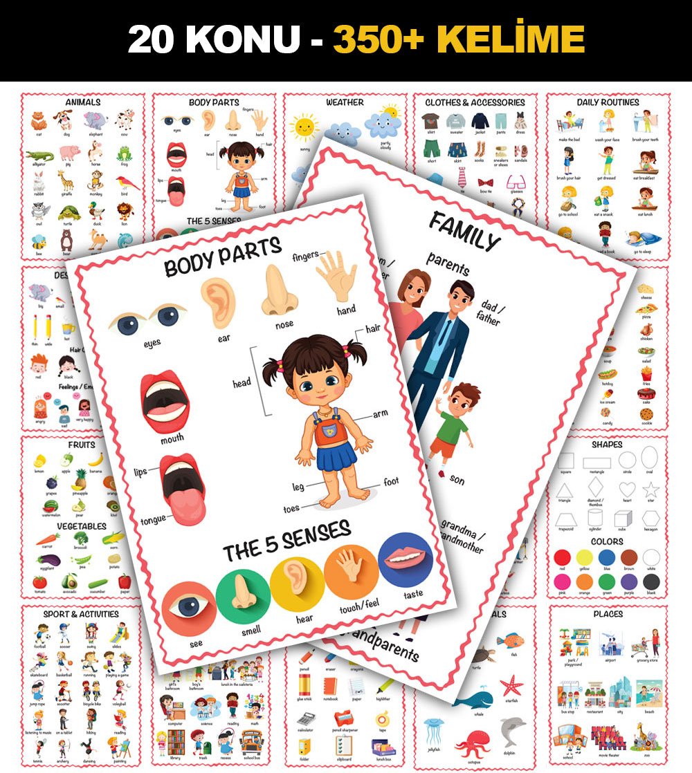 İlk Kelimelerim 350+ Kelime İngilizce Türkçe Çift Taraflı 20 Konu Öğretici Eğitici Poster Seti 33x24cm