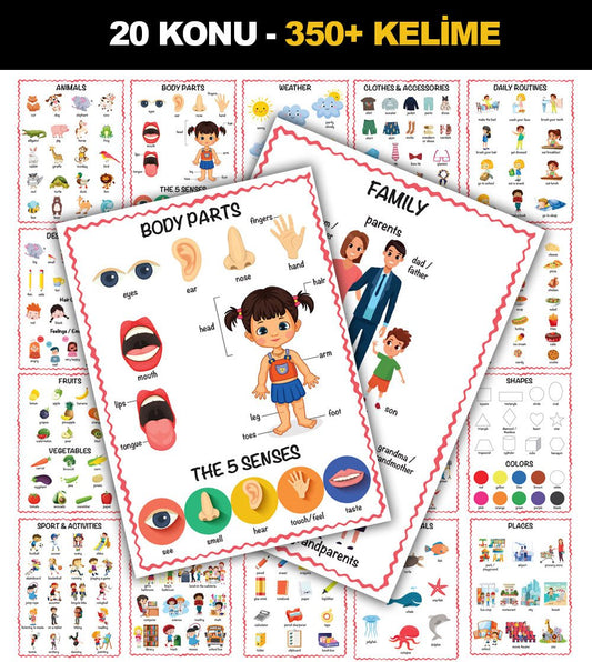 İlk Kelimelerim 350+ Kelime İngilizce Türkçe Çift Taraflı 20 Konu Öğretici Eğitici Poster Seti 33x24cm